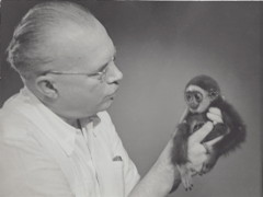 Robert van Gulik met zijn gibbonaapje Boeboe (Kuala Lumpur, 1962)