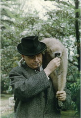 Robert van Gulik met zijn gibbon Jinja in de tuin van de Nederlandse ambassade in Tokio (1966)